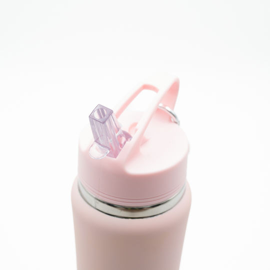 TnS Stainless Steel Thermos Bottle 750ml Stainless Steel with Straw and Handle