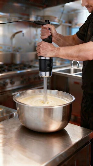 Colorato Commercial Hand Blender Clsb-3522s Length 22 Cm 350w