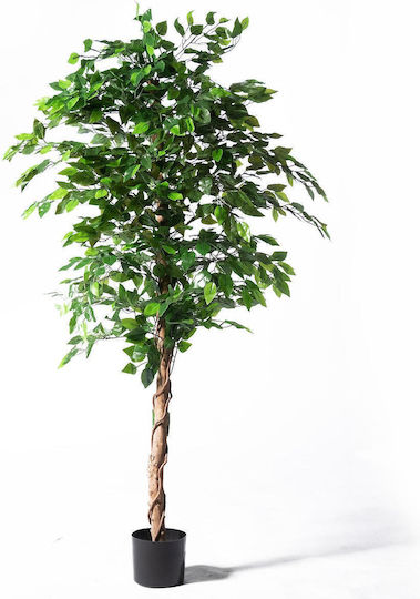 Supergreens Uv Künstlicher Ficus Baum Grün 180 cm