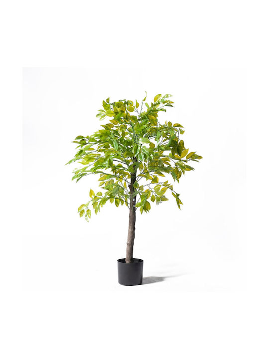 Supergreens Uv Τεχνητό Δέντρο Φίκος Πράσινο 180 Εκ Supergreens Uv Τεχνητό Δέντρο Φίκος Πράσινο 180 Εκ