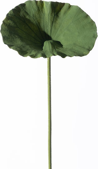 Supergreens Artificial Green Farfugio Branch 70 Cm 7-1584