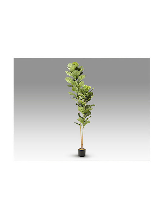 Higuera Violin 281232 Artificial Plant H200 – Τεχνητό Φυτό Ficus Lyrata Higuera Violin 281232 Artificial Plant H200 – Τεχνητό Φυτό Ficus Lyrata