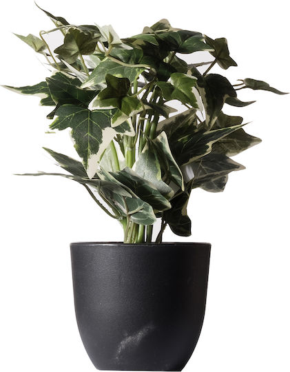 Supergreens Artificial Plant in Small Pot Ivy 30cm