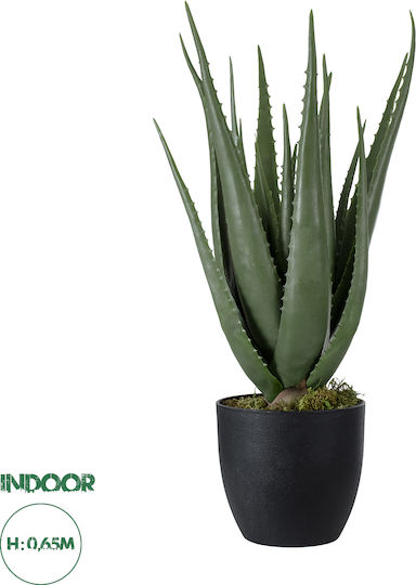 Aloe in a Potted Plant GloboStar Aloe in a Potted Plant GloboStar
