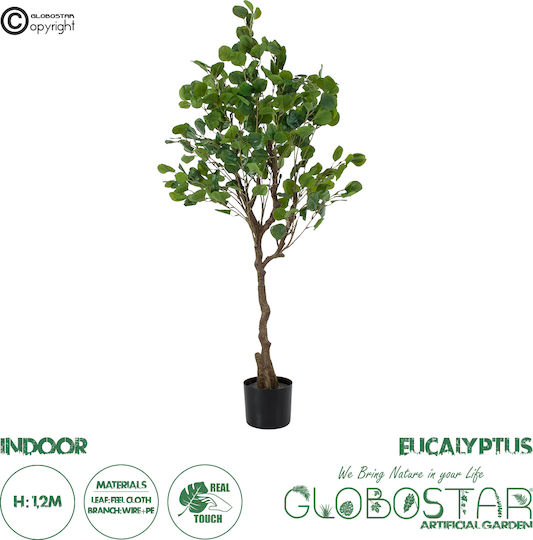 Eucalyptus Potted Plant GloboStar