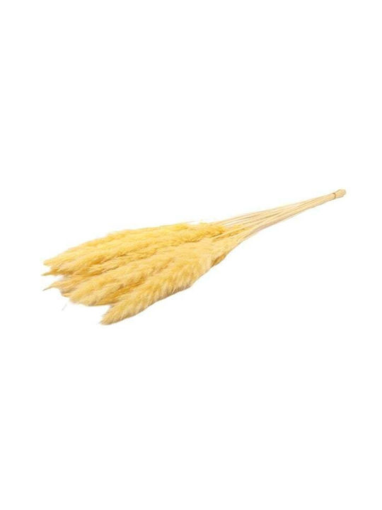 Αποξηραμένο Φυτό Pampas grass Κίτρινο ED Collection