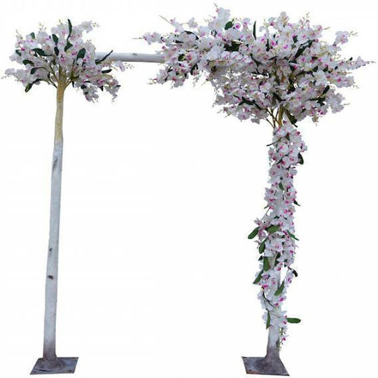 Outdoor Tree Multicolour Orchid