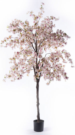 Cherry Outdoor Tree Pink Supergreens Cherry Outdoor Tree Pink Supergreens