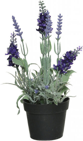 Lavender in a Purple Potted Plant Interni Oggi