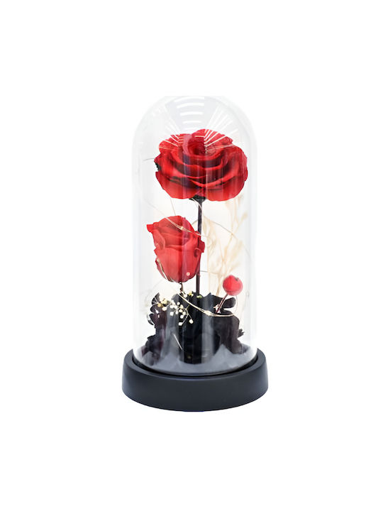 All Saints Rose Dome Lighting Led