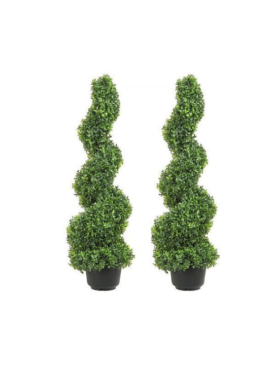 Buxus Im Freien 2Stücke Vevor Buxus Im Freien 2Stücke Vevor