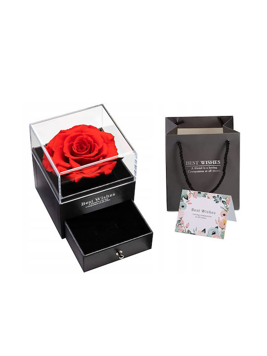 Jewelry Box Preserved Rose Zola 1 Drawer Gift Bag Greeting Card 11 X 9 X 9 Cm Black