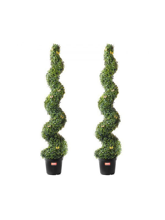 Buxus Im Freien 2Stücke Vevor Buxus Im Freien 2Stücke Vevor