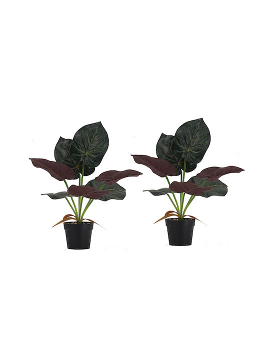 Изкуствено растение в саксийка Alocasia Green 35см 2бр Artekko