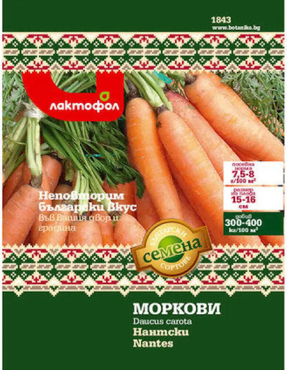 Karotte Nantes Samen Bulgarische Samen
