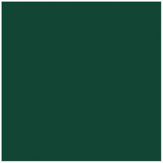3 In 1 Metal Paint Green 700 Ml Lackprom