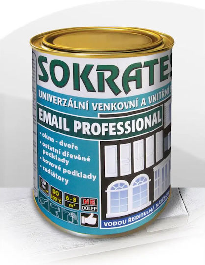 Vopsea Email Acrilică 0.7 Albă