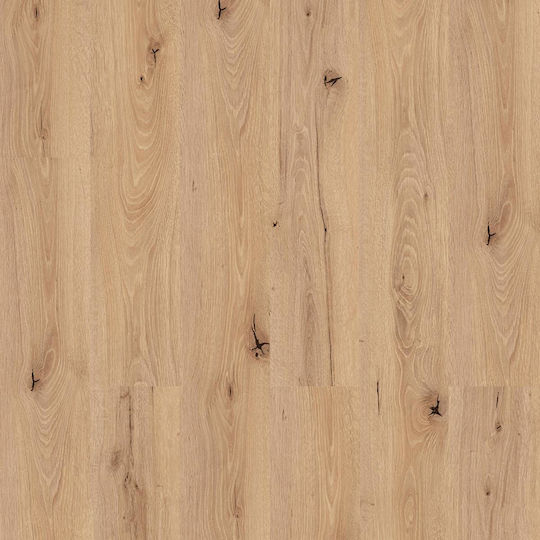 Kastamonu Laminatböden 8mm 32/ac4 Fc088 Tiefer Eiche
