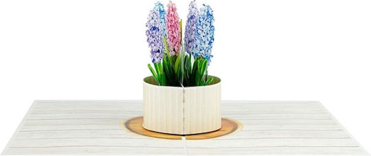 Kiriori Pop 3d Greeting Card Hyacinth