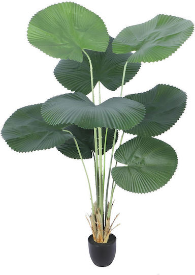 Дърво На Открито Supergreens