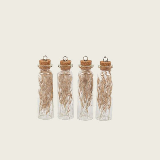 Glass Tube Dried Mini Pampas Set of 4 Pcs 8 X 2 Cm Beauty Home Glass Tube Dried Mini Pampas Set of 4 Pcs 8 X 2 Cm Beauty Home