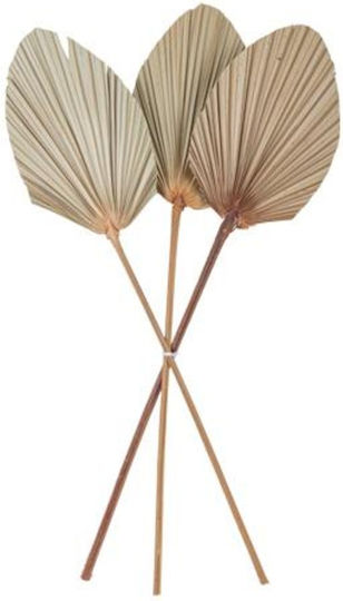 Φυλλα Παλμα Σετ 3 Τμχ 60 X 15 Cm Beauty Home