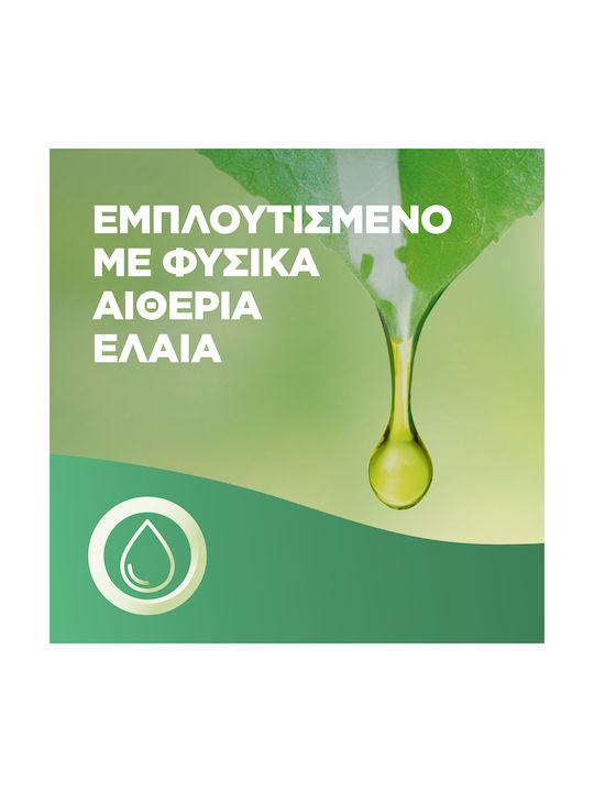 Air Wick Armonia Istantanea Βανίλια & Βούτυρο Καριτέ 20 Ml