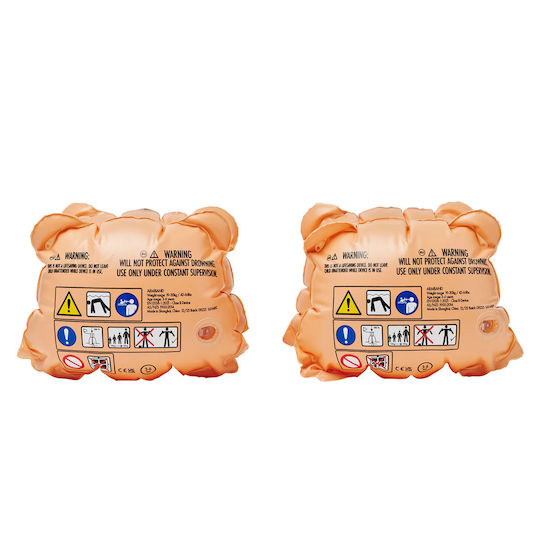 Sunnylife Schwimmflügel Tino Tiger Clay