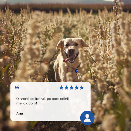 Farmina N&D Ancestral Grain Medium & Maxi 2.5kg Trockenfutter mit wenig Getreide für erwachsene Hunde mittlerer & großer Rassen mit Lamm