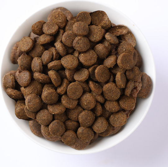 Farmina Quinoa Weight Management 7kg Ξηρά Τροφή Διαίτης, χωρίς Σιτηρά για Ενήλικους Σκύλους Μικρόσωμων Φυλών με Αρνί