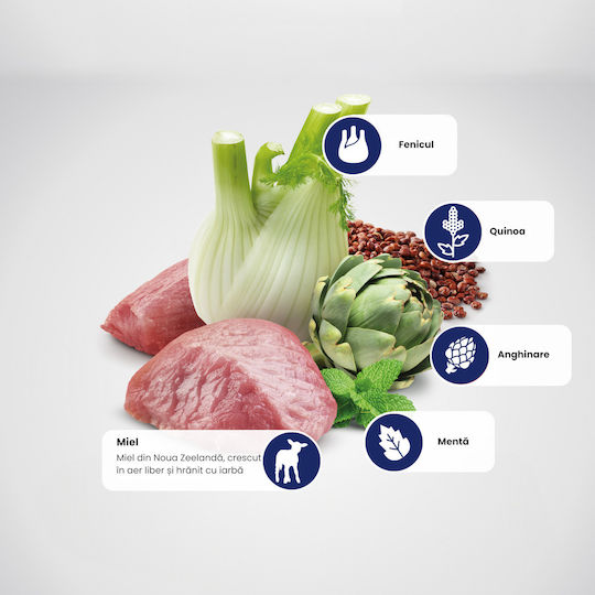 Farmina Quinoa 7kg Trockenfutter ohne Getreide für erwachsene Hunde kleiner Rassen mit Lamm