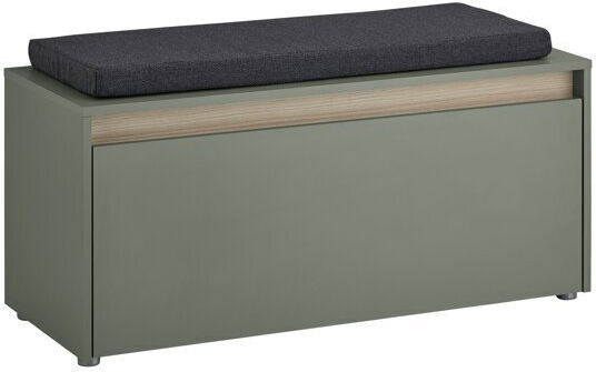 Elbsori 164 Eingangsmöbel mit Schuhschrank & Bank Green 100x40x50cm Elbsori 164 Eingangsmöbel mit Schuhschrank & Bank Green 100x40x50cm
