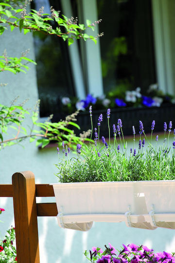 Prosperplast Γλάστρα Πλαστική Anthracite