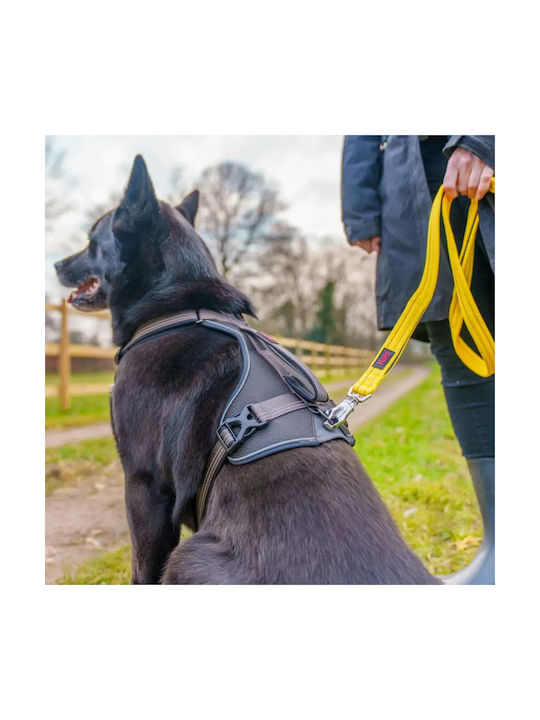 Hundegeschirr Company Animals L S6105351