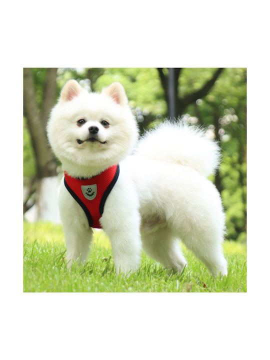 Animal Hundegeschirr Blau 23.07.03681