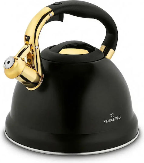 Starke Pro Stainless Steel Gray Boiler 3000ml