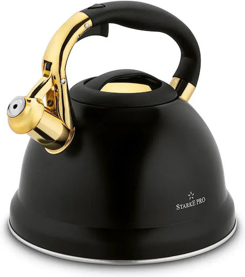 Starke Pro Stainless Steel Gray Boiler 3000ml