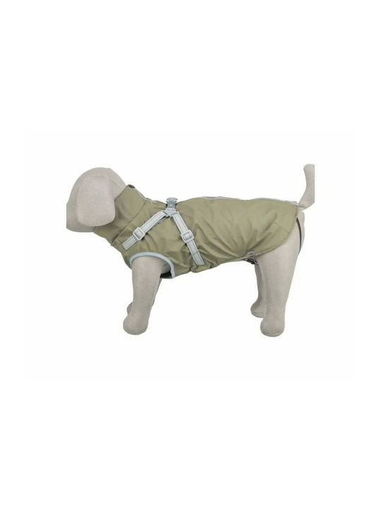 Hundemantel Grün XSklein mit Rückenlänge 30 cm.