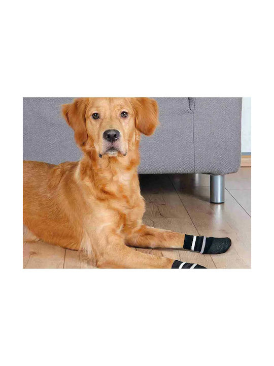 Trixie Socks Dog Socks for Dogs XL Black in Black Color