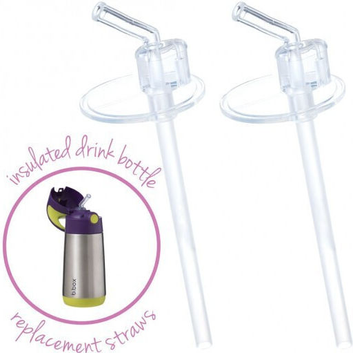 B Replacement Straw Nipple Thermos Box 2 Pcs