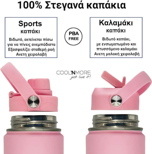 Cool'NMore Stainless Steel Thermos Bottle BPA Free 500ml Flamingo with Straw and Handle