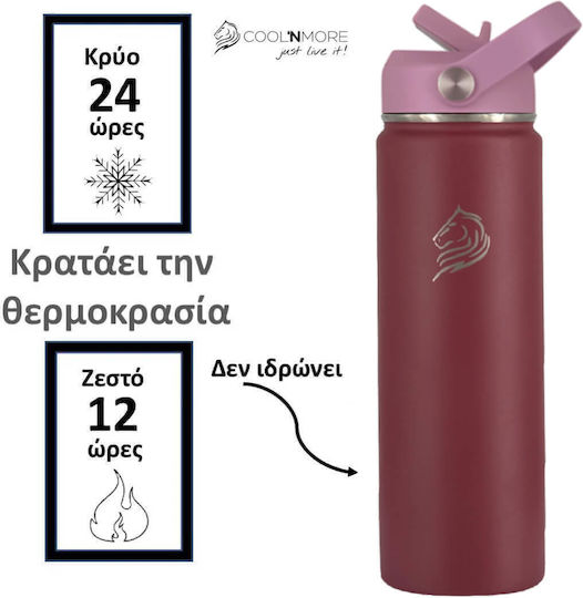 Cool'NMore Бутилка Термос Неръждаема Стомана Без BPA 500ml Многоцветна с Сламка и Дръжка