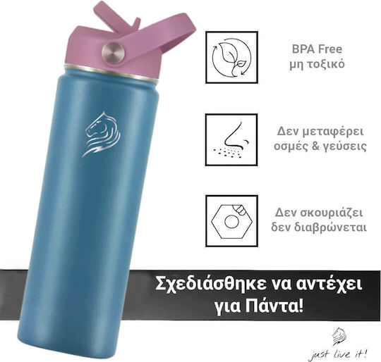 Cool'NMore Μπουκάλι Θερμός Ανοξείδωτο BPA Free 500ml Πολύχρωμο με Καλαμάκι και Λαβή