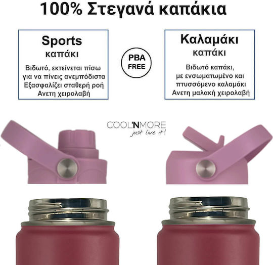 Cool'NMore Бутилка Термос Неръждаема Стомана Без BPA 500ml Многоцветна с Сламка и Дръжка