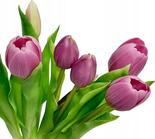 Blumenstrauß aus lila Tulpen 31cm Saska Garden