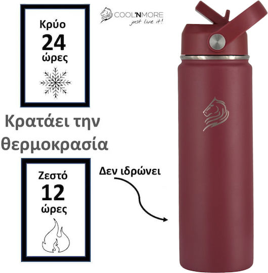 Cool'NMore Бутилка Термос Неръждаема Стомана BPA Free 500ml Неръждаема Стомана със Сламка Дръжка Примка и Мундщук