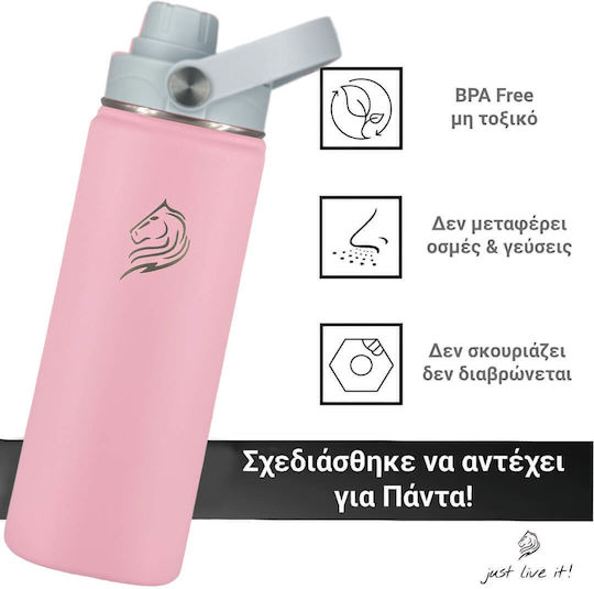 Cool'NMore Stainless Steel Thermos Bottle BPA Free 500ml Stainless Steel with Straw Handle Loop and Mouthpiece