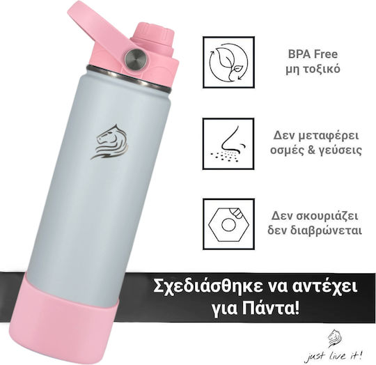 Cool'NMore Μπουκάλι Θερμός Ανοξείδωτο BPA Free 500ml Ανοξείδωτο με Καλαμάκι, Λαβή, Θηλιά και Επιστόμιο