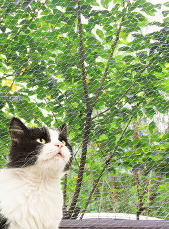 Pawise Cat Net Balcony 2x1.5m 200 x 150cm