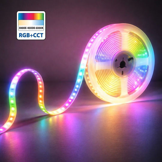 Set Speed Led Led Strip Rgb+cct With Controller 24w 230v Ip20 5247